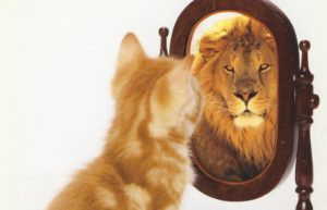 cat lion mirror